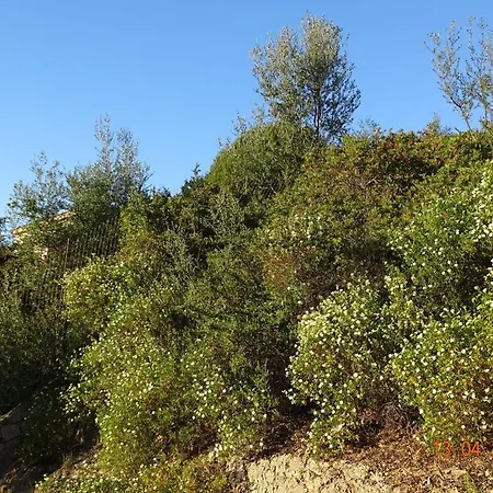 Casa Solaria בית נופש *